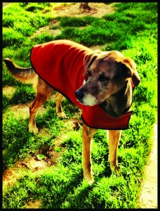 Otis in Rust Boulder Coat for Teva Games 2012