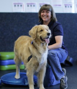 Photo Courtesy Of Canine Rehabilitation and Conditioning Group