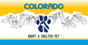 Colorado Pet Overpopulation Fund How to Purchase